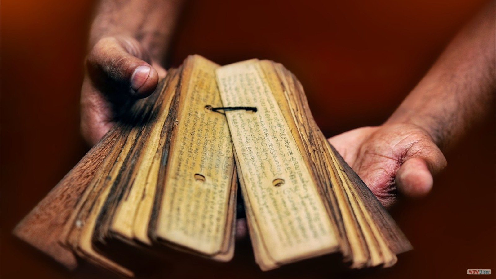 Welcome to Agasthiyar Bhrigu Nadi