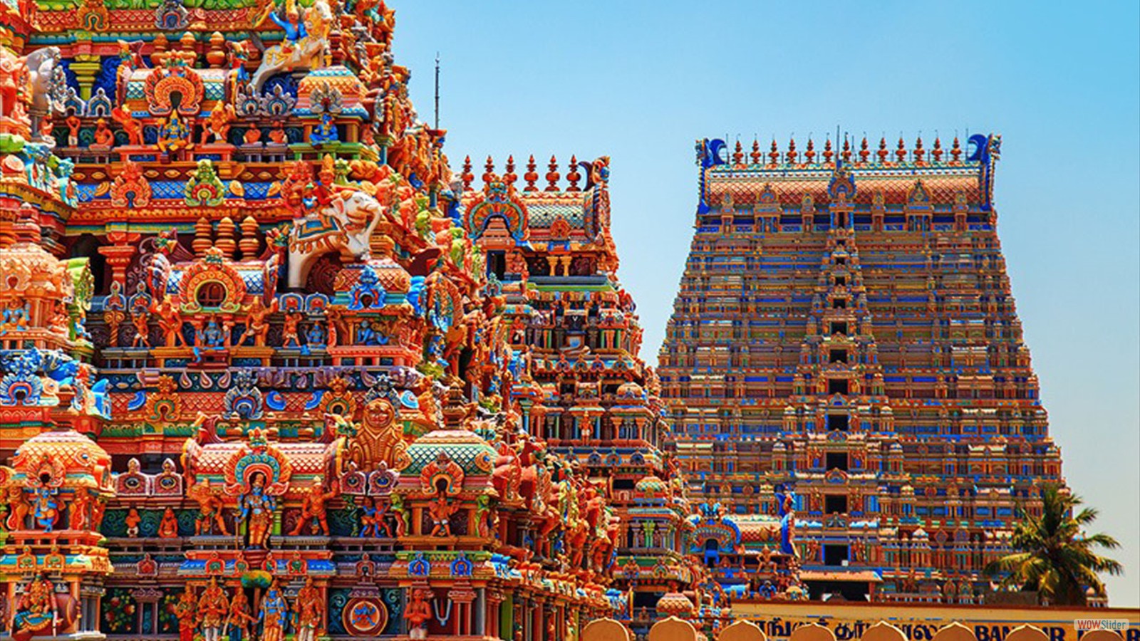 Welcome to Agasthiyar Bhrigu Nadi