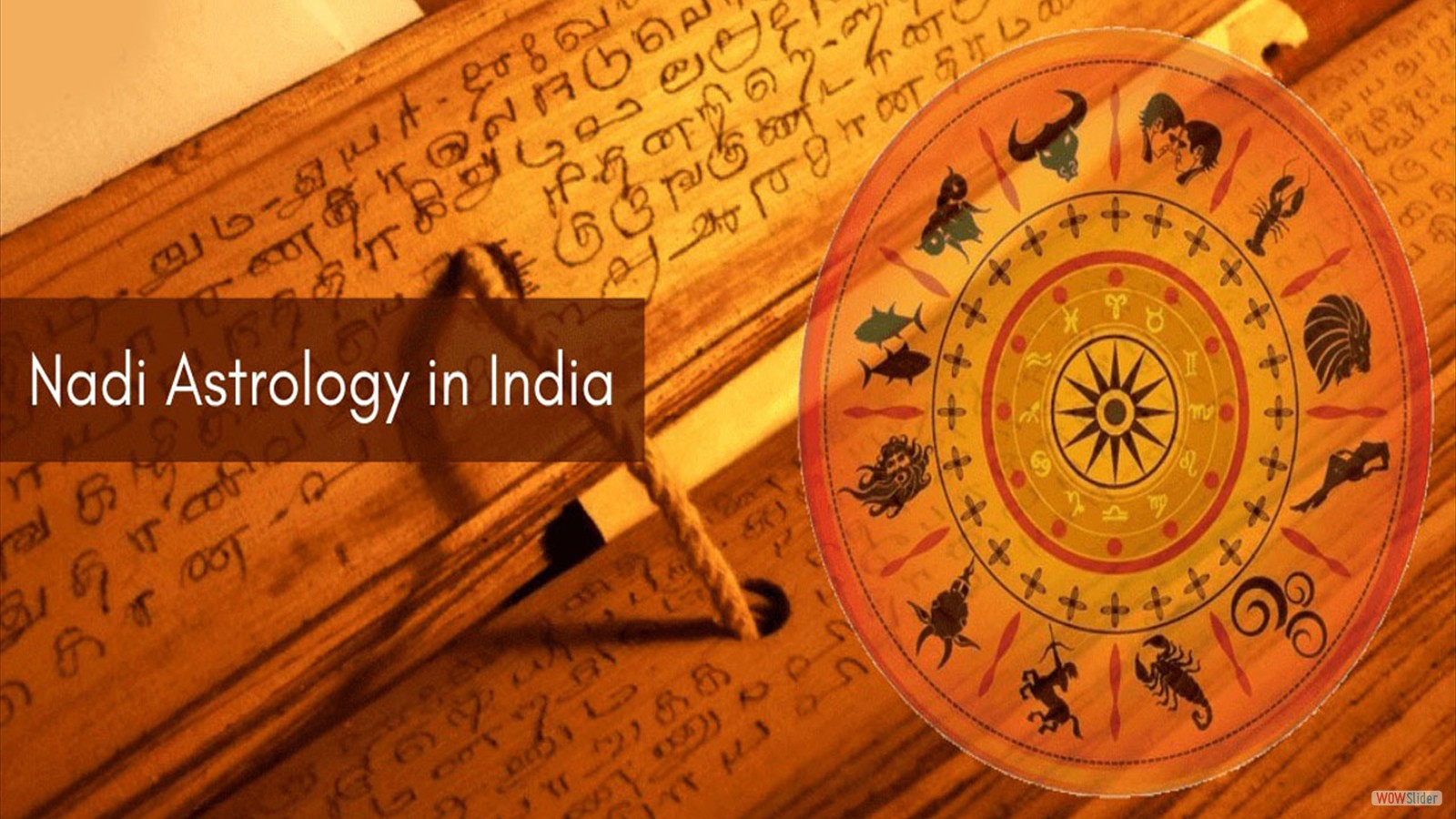 Welcome to Agasthiyar Bhrigu Nadi